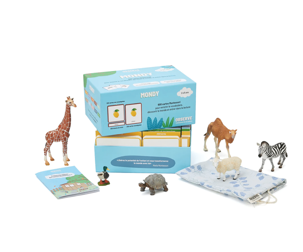 Coffret Langage Montessori